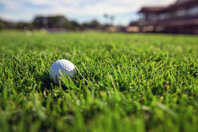 Image of golf ball on green