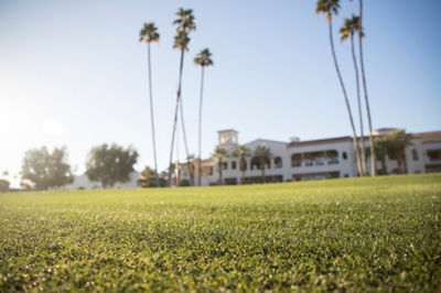 Image of a golf course with a clubhouse in the background