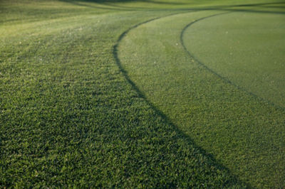 Image of close up of putting green collar