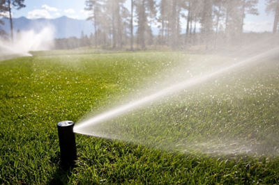 Image of irrigation sprinkler