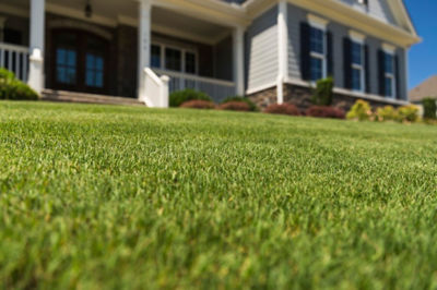 Image of lawn and house