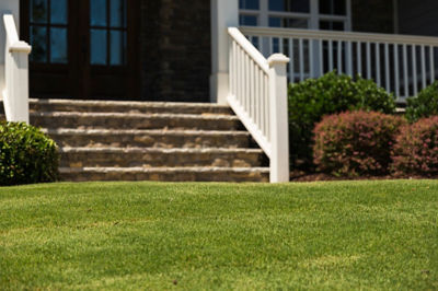 Image of steps and lawn in front of home