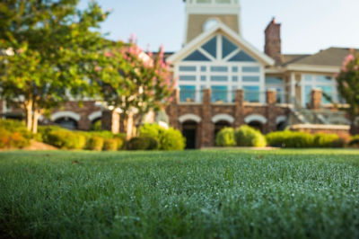Image of residential lawn with home in background