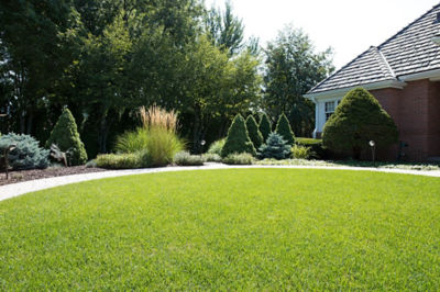 Image of residential home and lawn