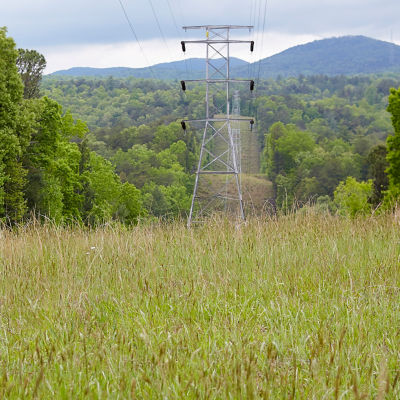 Image of electrical lines in right of way in forest of trees