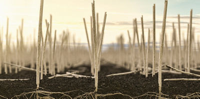 Above-Below Pre-Seed After