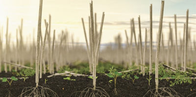 Above-Below Pre-Seed
