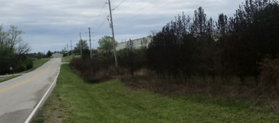 Right of way area alongside road, with power lines