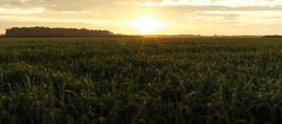 Picture of a sunset over a range