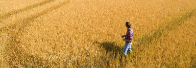 Farmer in Field