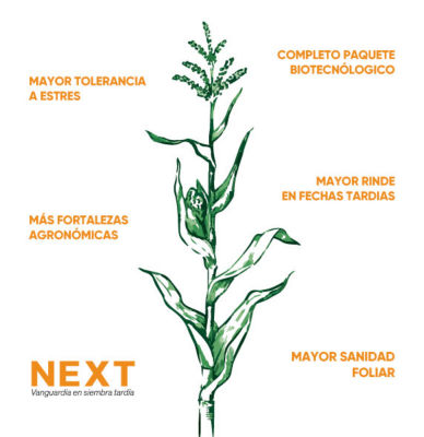 Imagen desktop grafico next