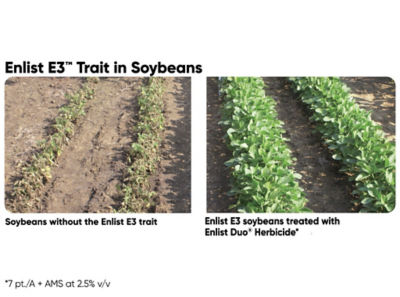 Enlist E3™ Soybean Trait Pioneer Canada
