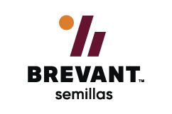 Imagen desktop del logo brevant