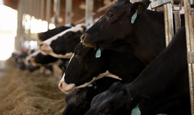 Video about Dave LaCrosse’s use of Instinct® nitrogen stabilizer