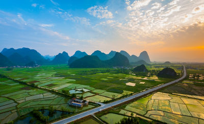 aerial-view-rice-paddies-1_beauty_1_64-1