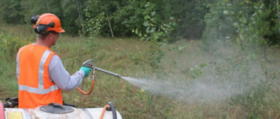 man spraying