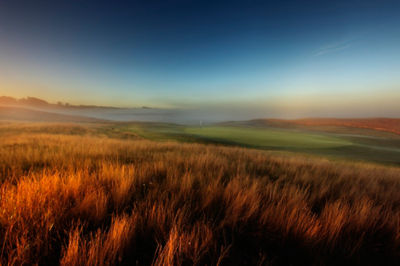 Image of a golf course rough and fairway with fog at sunrise