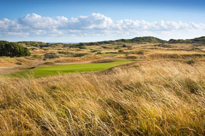 Golf course rough and fairway