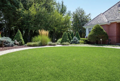 home with manicured lawn