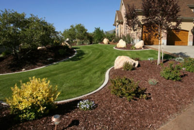 home with manicured side yard