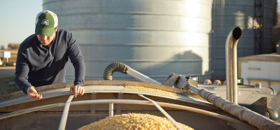 Corn seed in grain bin