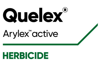 Quelex logo