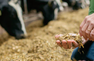 Rapid React - wyjątkowy produkt