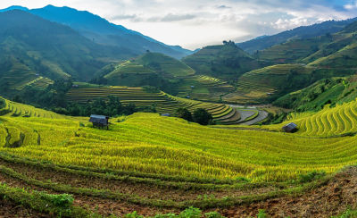 IMG_rice-paddy-terraces-1_beauty_1_64-1