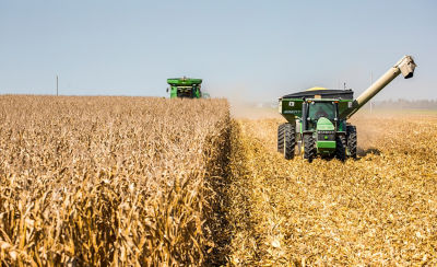 September harvest