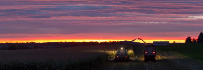 silage-field-at-sunset-1_beauty_063-1