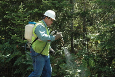 Man spraying brush with a backpack sprayer