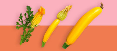 Three Sources of Information for Quick Decision Making