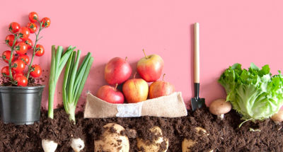 Assortment of fruits and veggies, with the veggies being shown as a side view having some under ground.