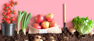 Assortment of fruits and veggies, with the veggies being shown as a side view having some under ground.