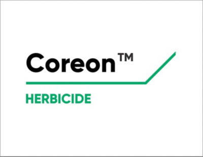 Coreon Logo