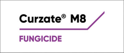 Curzate Logo