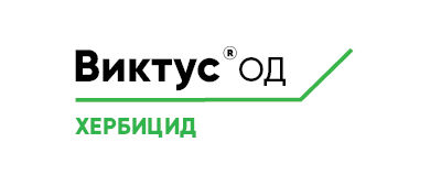 Виктус