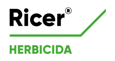 Logo de Ricer