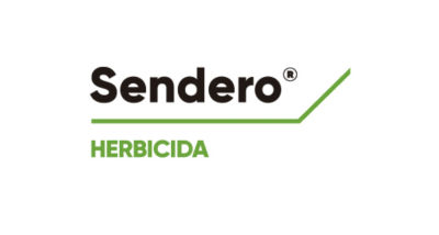 Logo de Sendero