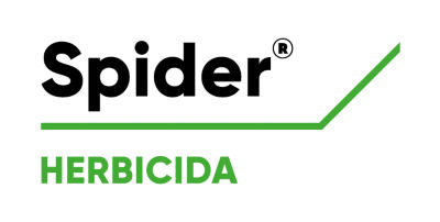 Logo de Spider