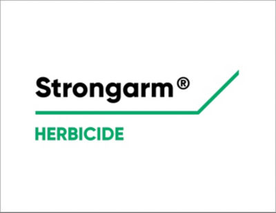 Strongarm Logo