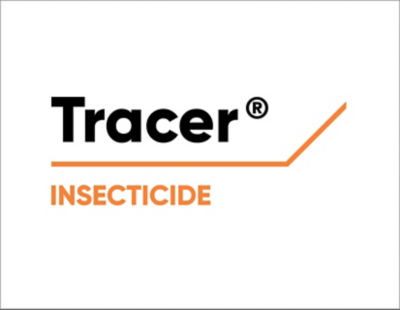 Tracer Logo