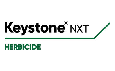 Keystone NXT logo