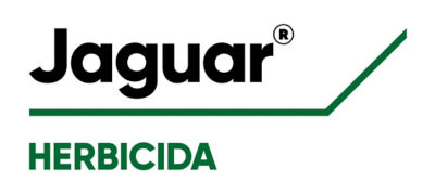 Jaguar Logo
