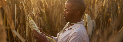 Objetivos sustentáveis