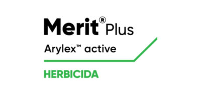 Merit-Plus logo