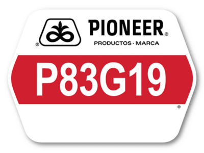 P83G19_Logo