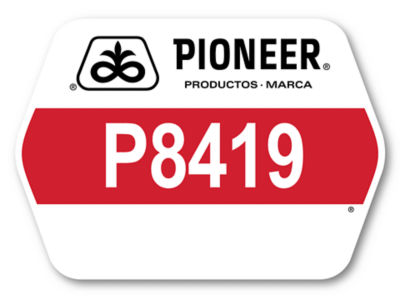 P8419_Logo