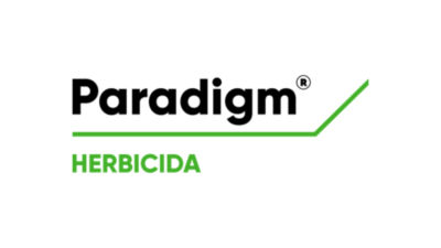 Paradigm logo