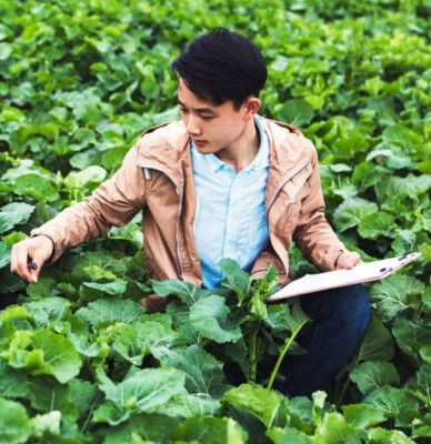 ProdStew_linkouttocorp